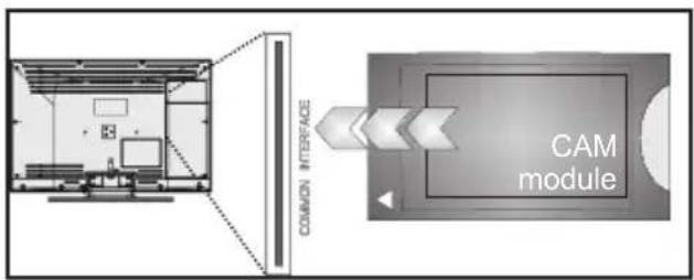 graph LR A["Room Layout"] --> B["Common Interface"] B --> C["CAM module"] style A fill:#f9f,stroke:#333 style C fill:#bbf,stroke:#333