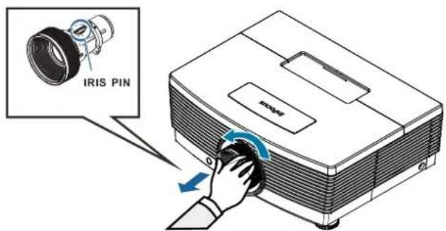 IRIS PIN