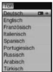Ton Deutsch Englisch Französisch Italienisch Spanisch Portugiesisch Russisch Arabisch Türkisch