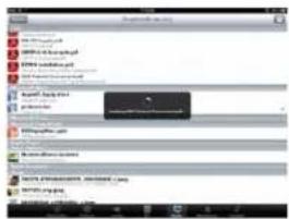 Screenshot of a web interface showing a list of web domains with icons and a highlighted section containing a black square.