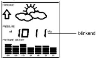 FORECAST ↑ PRESSURE ml 10 1 hPa pressure HISTORY 200 250 300 350 400 450 500 blinkend