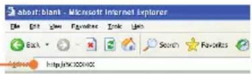 about: blank - Microsoft Internet Explorer File Edit View Favorites Tools Help Back Search Favorites Search http://s100100