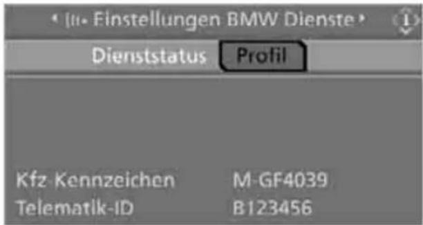 In- Finstellungen BMW Dienste Dienststatus Profil Kfz Kennzeichen M-GF4039 Telematik-ID B123456