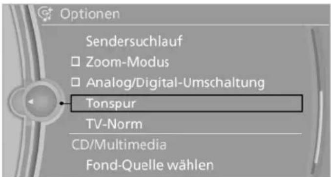 Optionen Sendersuchlauf □ Zoom-Modus □ Analog/Digital-Umschaltung Tonspur TV-Norm CD/Multimedia Fond-Quelle wählen