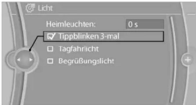 Licht Heimleuchten: 0 s ✓ Tippblinken 3-mal □ Tagfahrlicht □ Begrüßungslicht