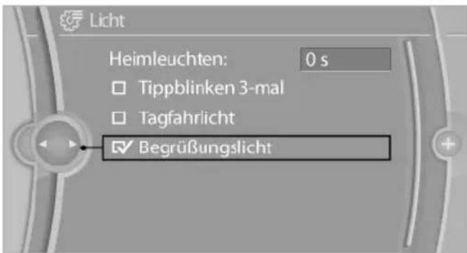 Licht Heimleuchten: 0 s □ Tippblinken 3-mal □ Tagfahrlicht ✓ Begrüßungslicht