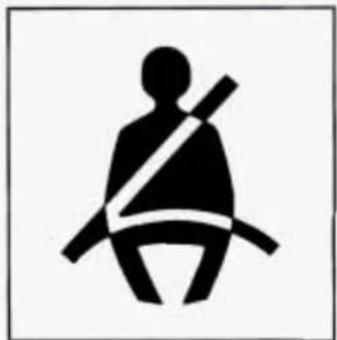 Buick Century (1995) - Safety Belt Warning Light - 1