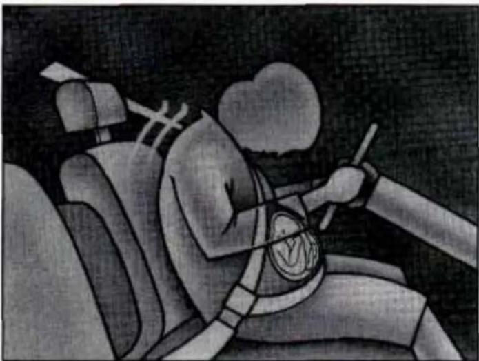 Buick Century (1995) - Safety Belt Use During Pregnancy - 1