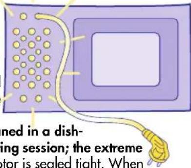 Ned in a dish-ing session; the extreme motor is sealed tight. When