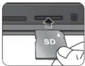 SD