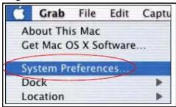 Grab File Edit Captu About This Mac Get Mac OS X Software... System Preferences... Dock Location