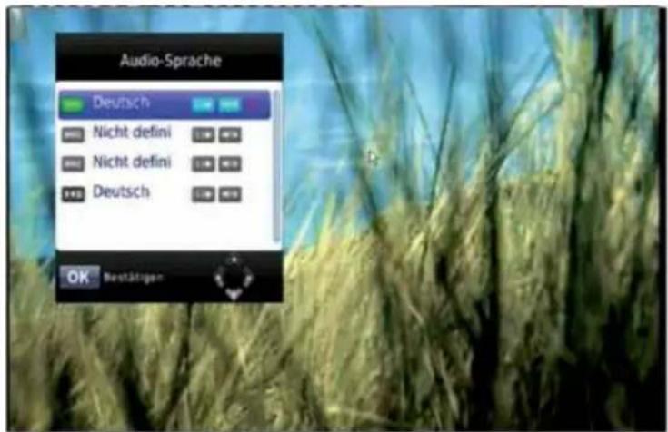 Audio-Sprache Deutsch Nicht defini Nicht defini Deutsch OK Bestätigen