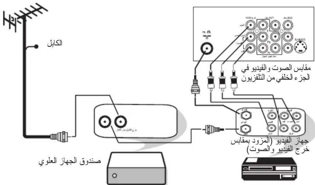 PHILIPS 29PT5026 - توصيلات الصوت/الفيديو (التشغيل) - 7