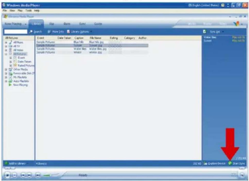 Windows Media Player File View Play Tools Help New Playing Library Copy Sync Quote Search More Info Library Options All Pictures All Music All TV All Video All Pictures Events Data Taken Rated Pictures Other Media Removable Disk (P) My PlayInfo Auto PlayInfo New Playing Event Data Taken Caption File Name Rating Category Author Sample Pictures Blue Hills Blue Hills.jpg Sample Pictures Subset Sunset.jpg Sample Pictures Water files Water files.jpg Sample Pictures Winter winker.jpg Water files Sunset Play not to Play not to Add to Library 4 Items 202 KB Explorer Device Start Sync Ready