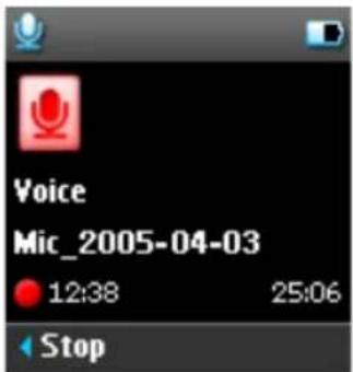 Voice Mic_2005-04-03 12:38 25:06 Stop