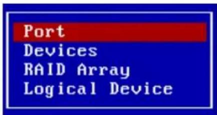 Port Devices RAID Array Logical Device