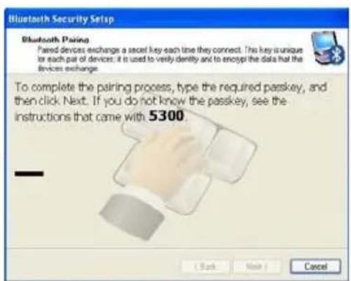 Bluetooth Security Setup Bluetooth Pairing Paired devices exchange a secret key each time they connect. This key is unique for each pair of devices. It is used to verify density and to encrypt the data that the devices exchange. To complete the pairing process, type the required passkey, and then click Next. If you do not know the passkey, see the instructions that came with 5300 ( Back Next ) Cancel