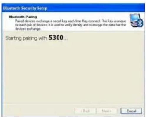 Bluetooth Security Setup Bluetooth Pairing Paired devices exchange a secret key each line they connect. The key is unique for each pair of devices, it is used to verify density and to encrypt the data that the devices exchange. Starting pairing with 5300...
