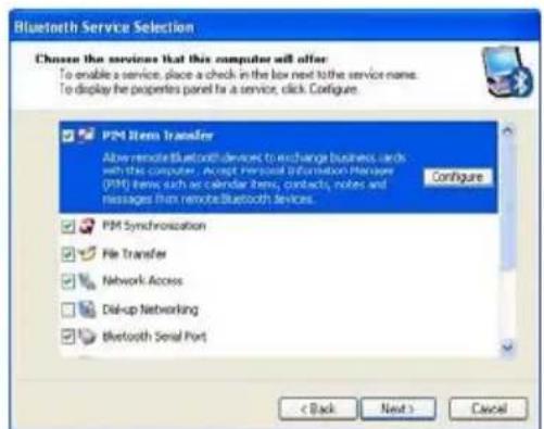 Bluetooth Service Selection Choose the services that this computer will offer To enable a service, place a check in the box next to the service name. To display the properties panel for a service, click Configure. P2M Items Transfer Allow remote Bluetooth devices to exchange business cards with this computer. Accept personal information Manager (P2M) items such as calendar items, contacts, notes and messages from remote Bluetooth devices. Configure P2M Synchronization File Transfer Network Access Del-up Networking Bluetooth Serial Port < Back Next > Cancel