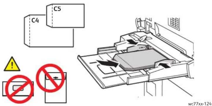 C4 C5 No wc77xx-124