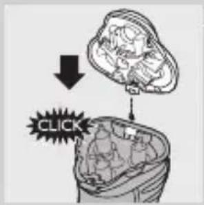 Diagram illustrating a biological process with labeled arrows and a 'CLICK' annotation pointing to a biological specimen.