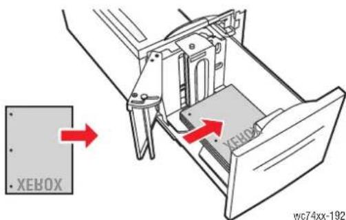 XEROX WorkCentre 7435V FLXPB - Einlegen von Druckmaterial in den Großraumbehälter - 4