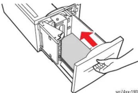 XEROX WorkCentre 7435V FLXPB - Einlegen von Druckmaterial in den Großraumbehälter - 5