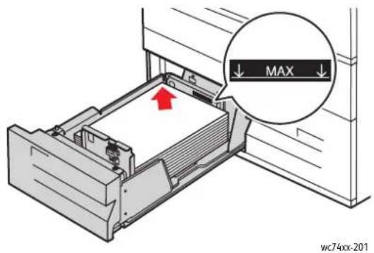 XEROX WorkCentre 7435V FLXPB - Einlegen von Papier in den Tandembehälter - 1