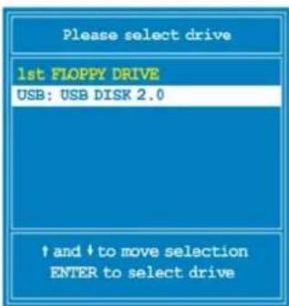 Please select drive 1st FLOPPY DRIVE USB: USB DISK 2.0 ↑ and ↓ to move selection ENTER to select drive