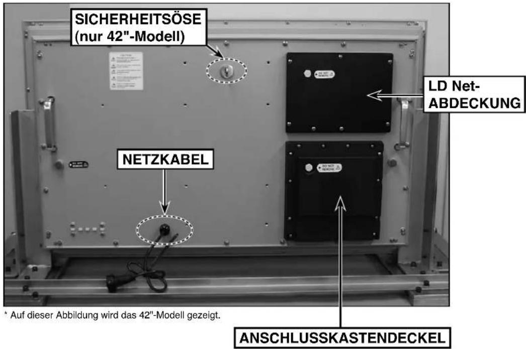 SICHERHEITSÖSE (nur 42"-Modell) NETZKABEL LD Net- ABDECKUNG ANSCHLUSSKASTENDECKEL * Auf dieser Abbildung wird das 42"-Modell gezeigt.