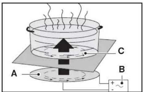 DE DIETRICH DTi708V - • The induction principle - 1
