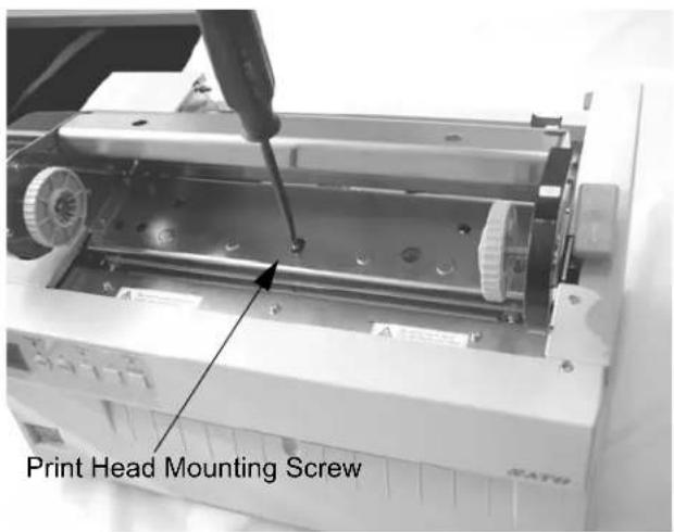 Print Head Mounting Screw