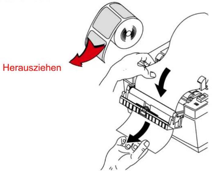 Bixolon SLP-T400CG - 5-6 Abziehfunktion - 2