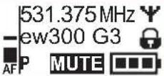 SENNHEISER SKM 300-835 G3-G - Eine Standardanzeige auswählen - 2