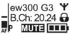 SENNHEISER SKM 300-865 G3-G - Eine Standardanzeige auswählen - 4