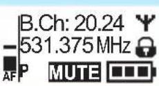 SENNHEISER SKM 300-865 G3-G - Eine Standardanzeige auswählen - 3