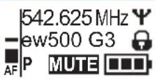 SENNHEISER SKM 500-935 G3 - Eine Standardanzeige auswählen - 2