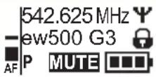 SENNHEISER SKM 500-945 G3 - Eine Standardanzeige auswählen - 2
