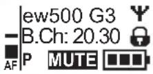 SENNHEISER SKM 500-945 G3 - Eine Standardanzeige auswählen - 4