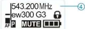 SENNHEISER EW 335 G3-D-EU - SET - 2