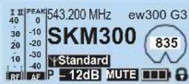 SENNHEISER EW 345 G3-B-EU - Darstellung Bezeichnung der Standardanzeige - 2