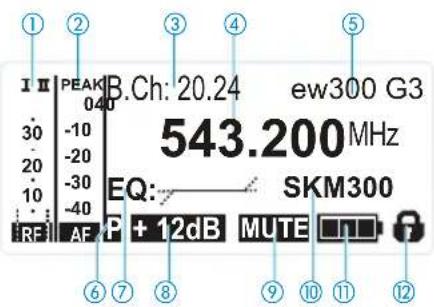 I II PEAK B.Ch: 20.24 ew300 G3 30 -10 20 -20 10 -30 RF AE P + 12dB MUTE EQ: SKM300