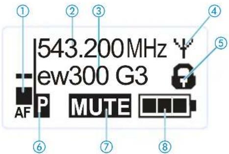 543.200MHz ew300 G3 AF P MUTE