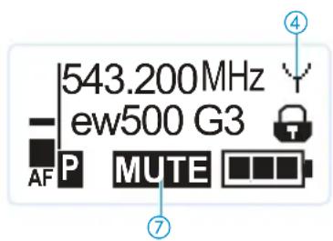543.200MHz ew500 G3 AF P MUTE