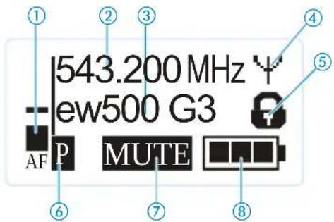 543.200 MHz ew500 G3 AF P MUTE