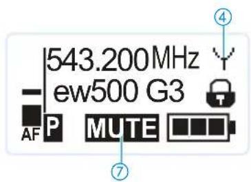 543.200MHz ew500 G3 AF P MUTE