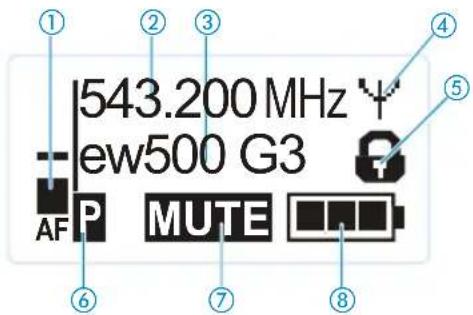543.200 MHz ew500 G3 AF P MUTE