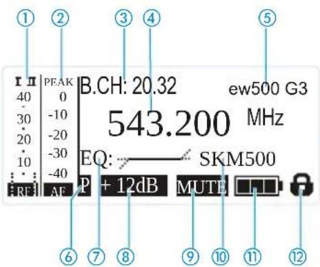 1 2 3 4 5 rπ | PEAK | B.CH: 20.32 ew500 G3 40 | 0 30 | -10 543.200 MHz 20 | -20 10 | -30 EQ: SKM500 RE | -40 P + 12dB MUTE 6 7 8 9 10 11 12
