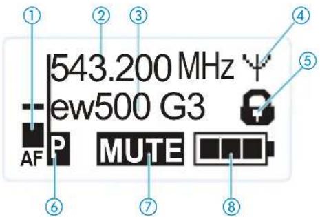 543.200 MHz ew500 G3 AF P MUTE