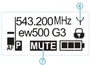 543.200MHz ew500 G3 AF P MUTE